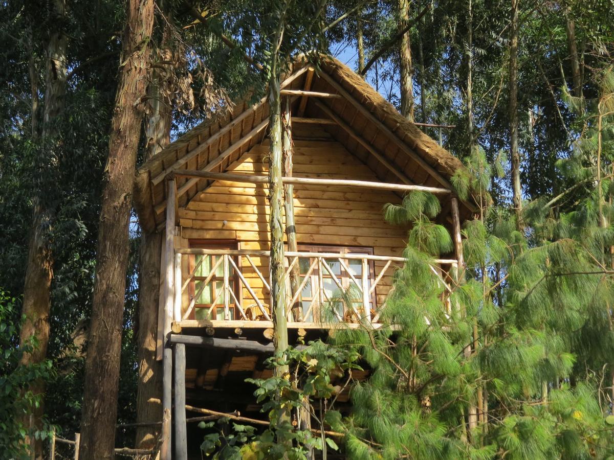 Itambira Island, Seeds Of Hope Kabale Exteriör bild